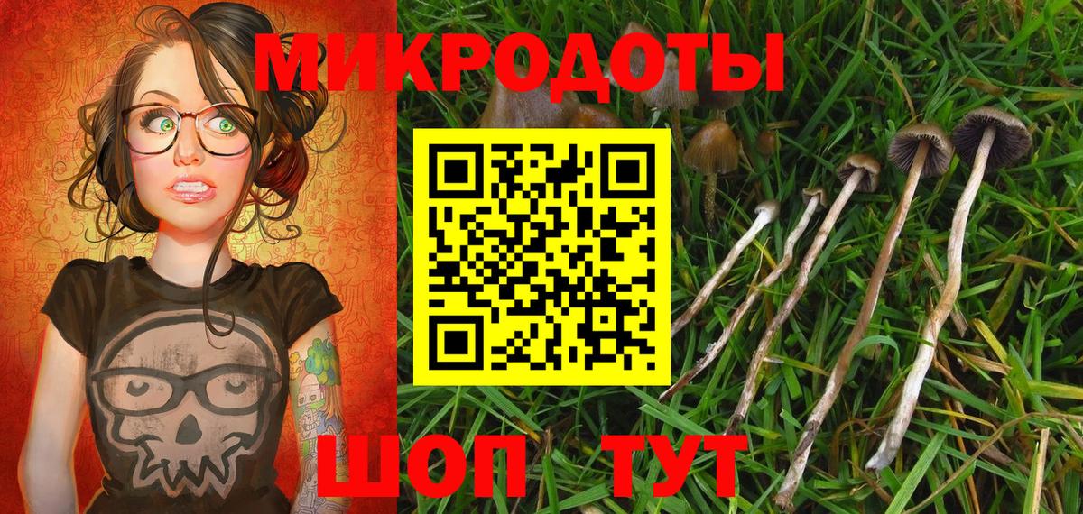 где купить наркоту  Псилоцибиновые грибы MAGIC MUSHROOMS  Вход с VPN  Шебекино 